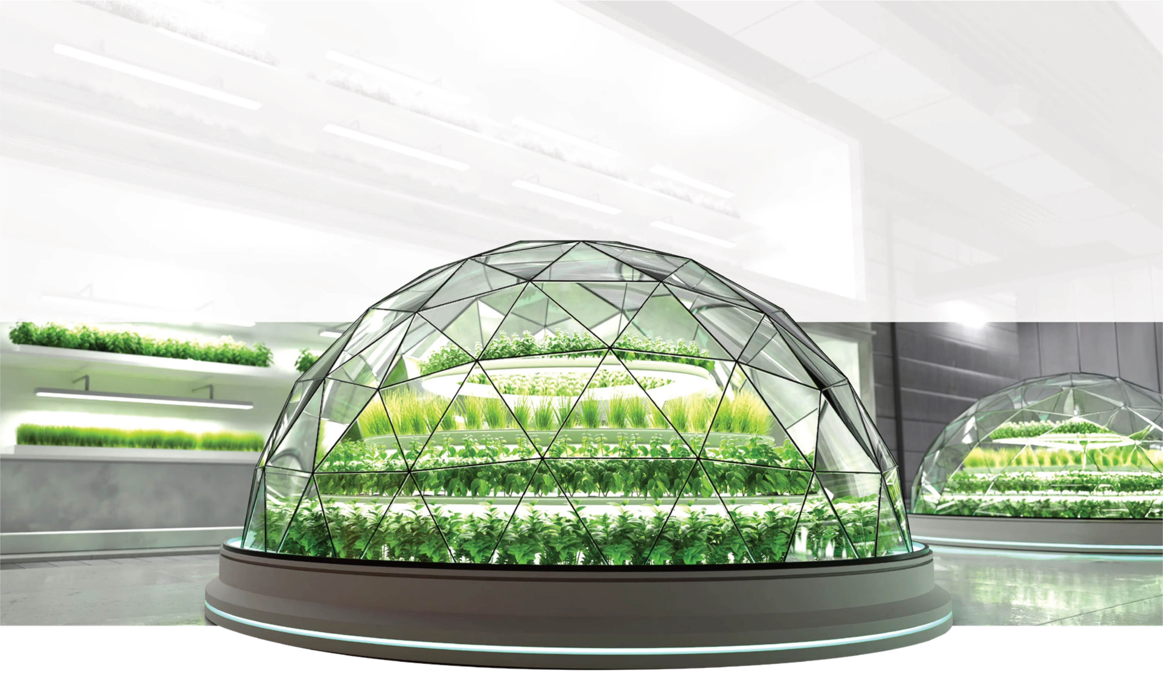 SeaStar's state-of-the-art factory